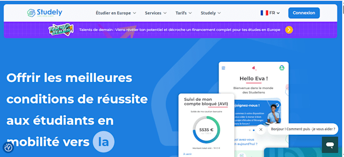 create a professional web solution for your needs