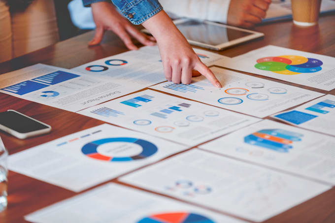 provide internal audit and quality document review
