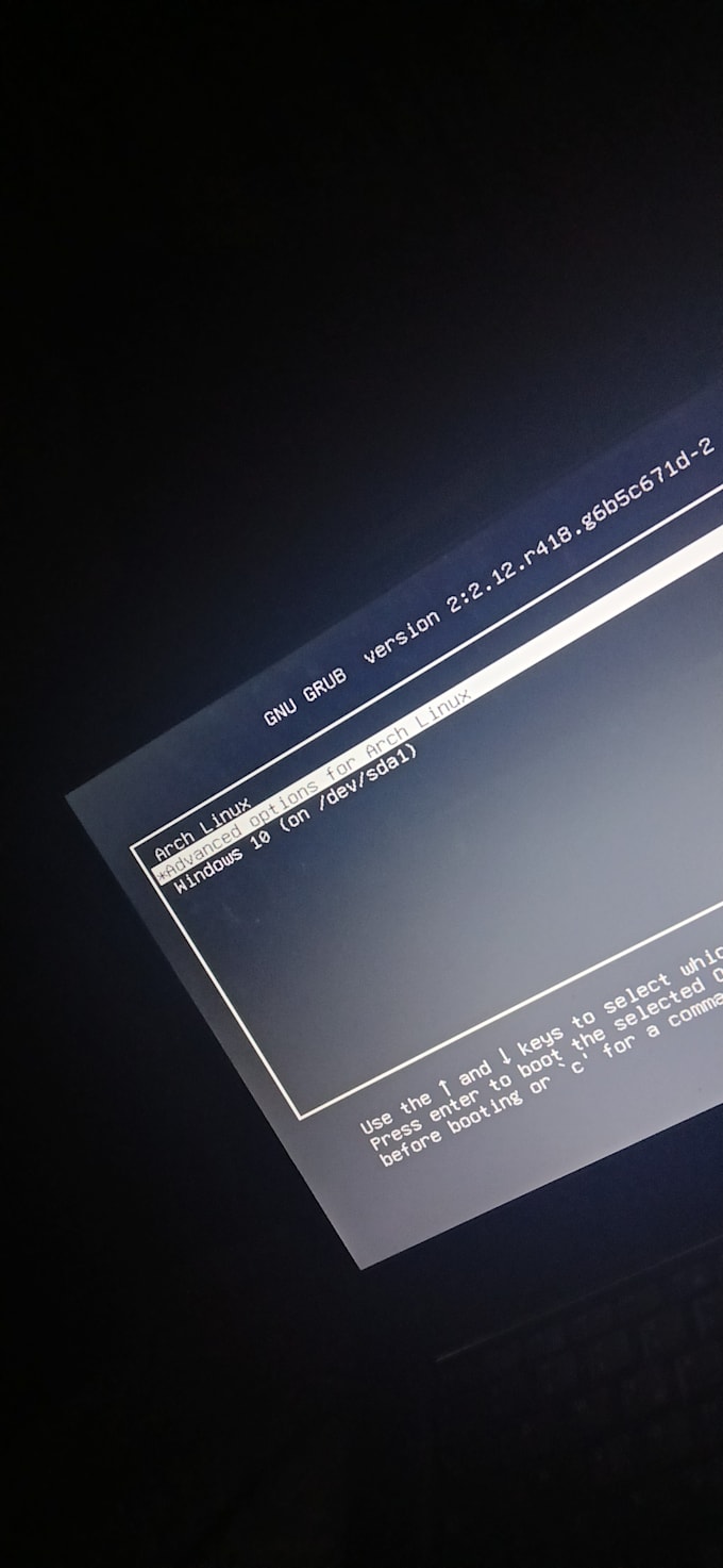 provide expert remote PC troubleshooting and software support