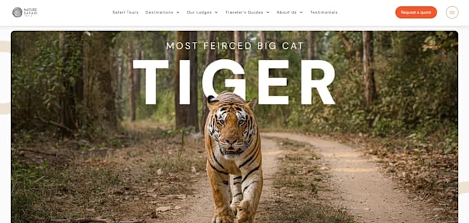 wordpress website development and SEO