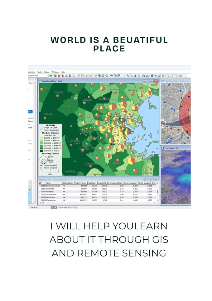 do gis and remote sensing analysis for you