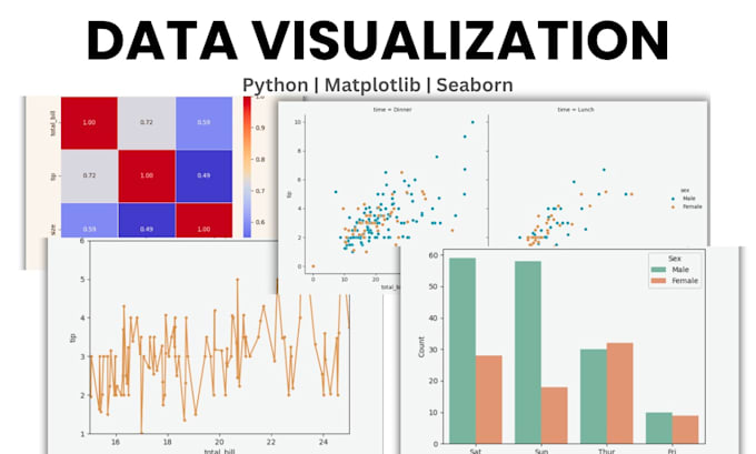 analyze your data and create professional visualizations using python