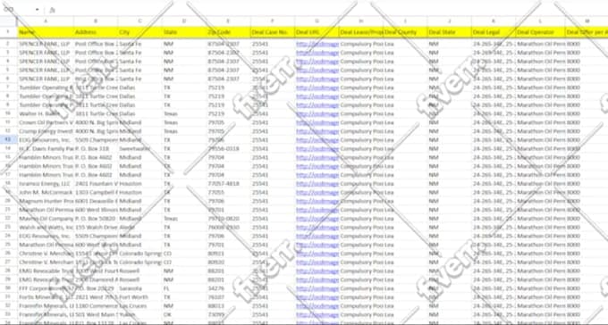 do data entry, copy paste, data cleaning, pdf to excel data entry