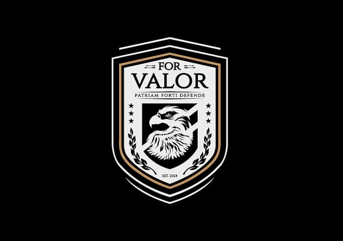 design a professional security company logo