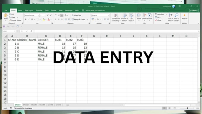 do data entry, data cleaning, formatting
