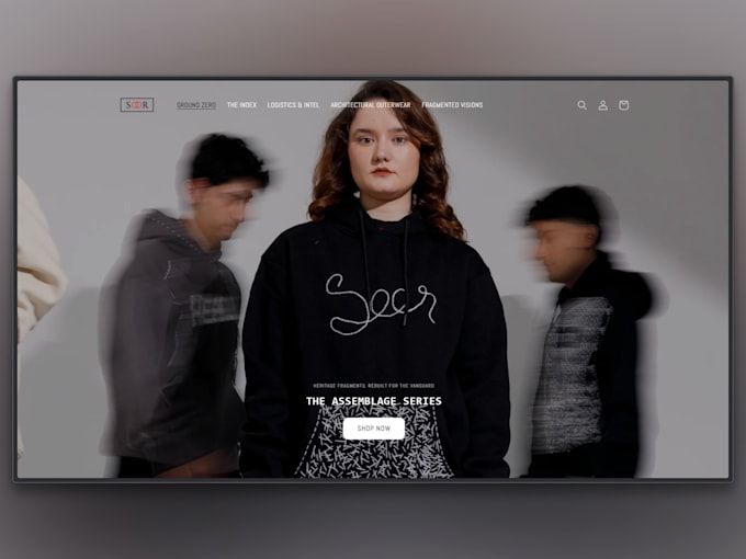 create a premium shopify ecommerce store