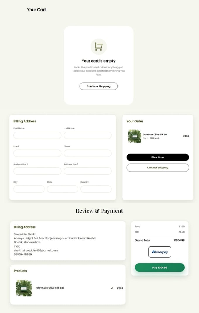 build a professional django ecommerce website with payment gateway