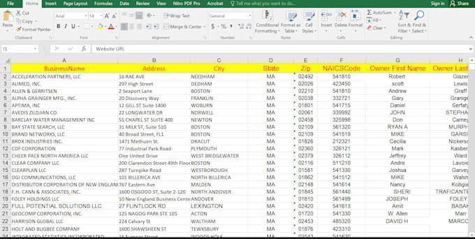 find decision makers b2b leads with contact details