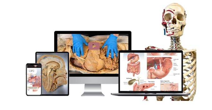 teach and help you with biochemistry and  anatomy