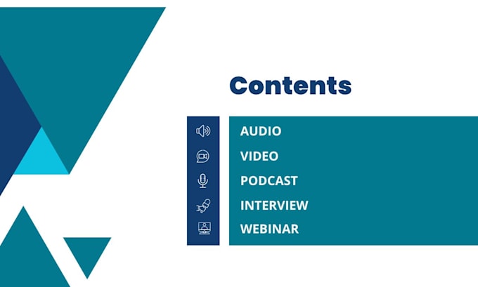 provide professional audio and video transcription services