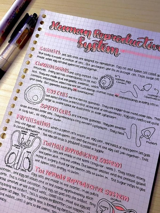 help to write  biology topics and create simple study notes