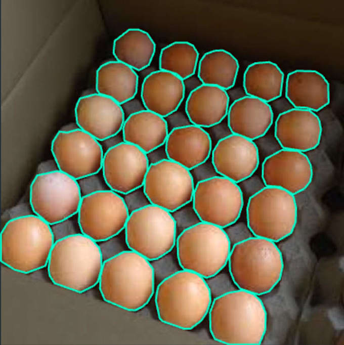 develop a custom object detection model using ml and dl
