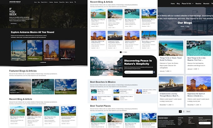 design or redesign wordpress travel blog or business website