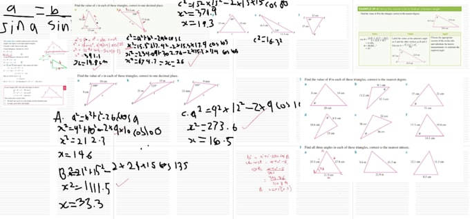 be your professional online maths tutor