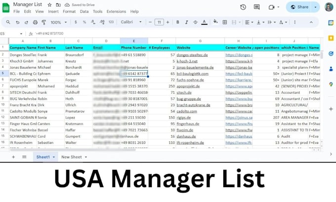 provide verified b2b saas leads with decision maker emails