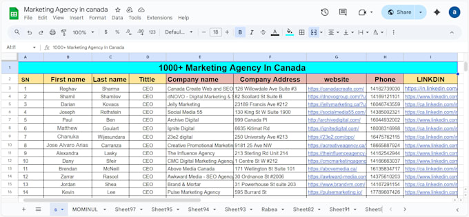 provide data entry, word document formatting, copy paste, web scraping