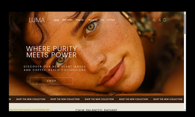 beauty website skincare website skincare shopify store spa, hair extension store