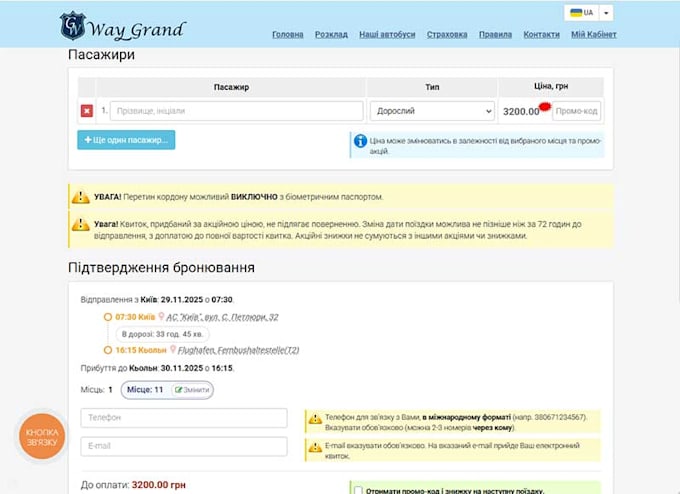 create a web application or service
