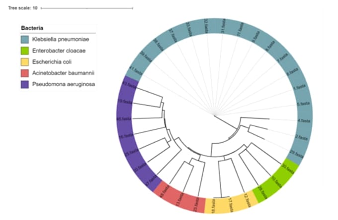 do advanced bioinformatics and ngs analysis