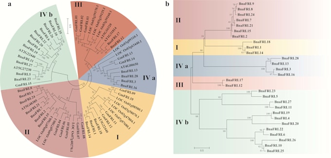 provide services involving in silico genome scale analysis