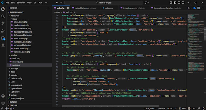 fix laravel bugs and improve your website