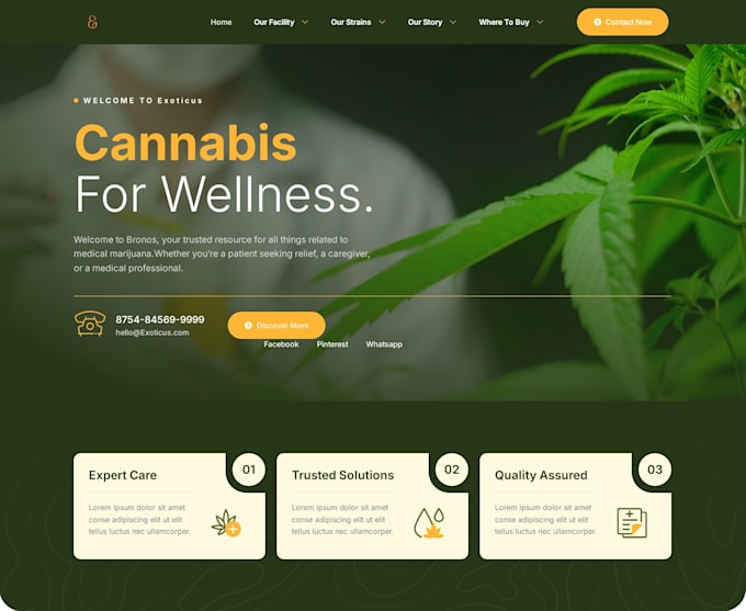 install customize redesign wp themeforest sites with elementor and woocommerce