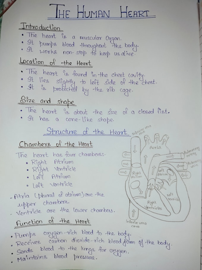 write handwritten assignments, notes and digram