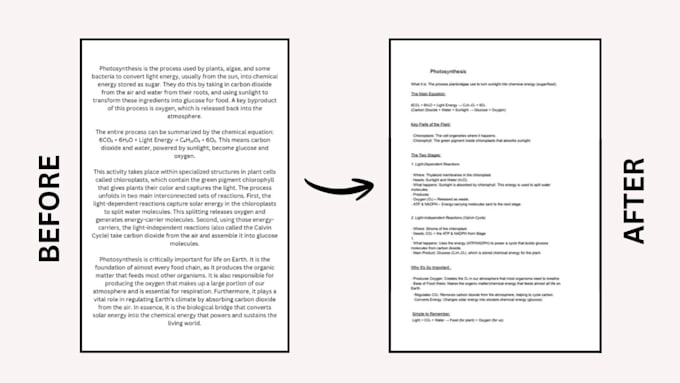 turn your long messy notes into clean organized study pdfs