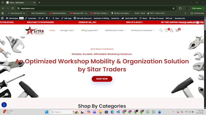 design professional wordpress web development expert