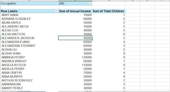 clean, format, and organize excel data professionally