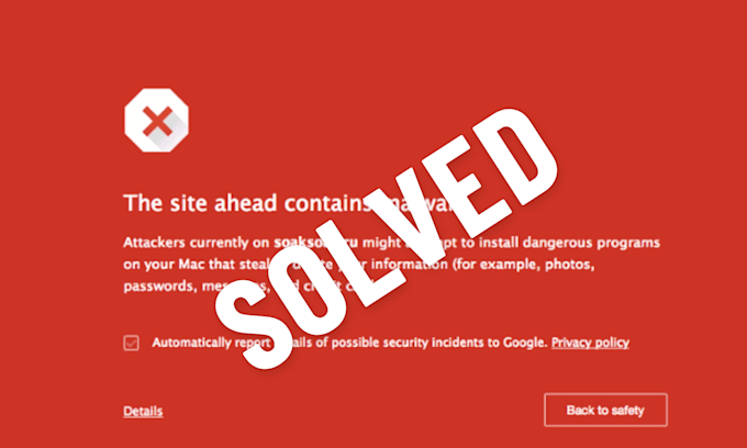 fix any wordpress bugs , elementor errors , wordpress bug fixing