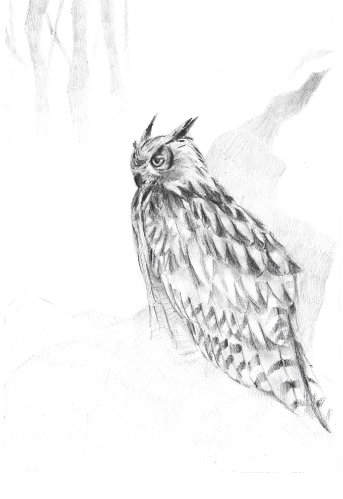 create a hand drawn sketch