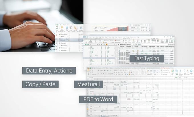do data entry, copy paste, web research, excel date entry
