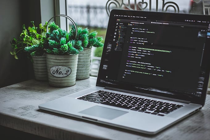 do web design, development and programming