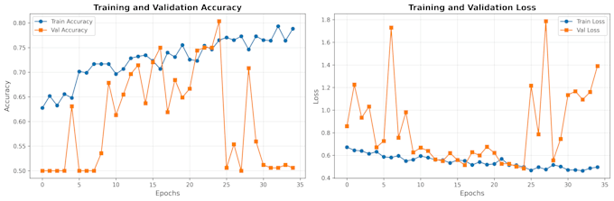 analyze data and build ml models