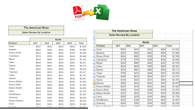 convert scanned PDF to excel spreadsheet