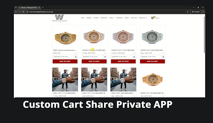 shopify custom private and public app developer shopify , API  graphql