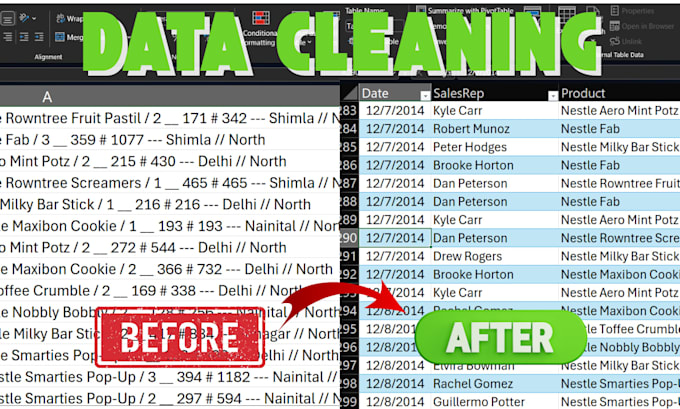 clean, analyze and organize large excel datasets professionally