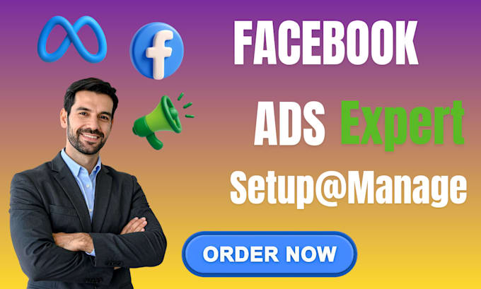 setup and manage facebook ads campaigns to boost