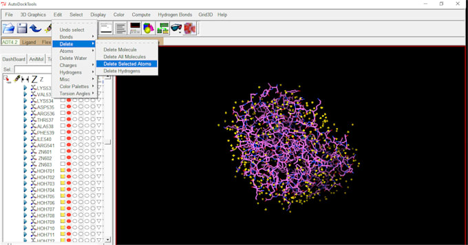 do molecular docking and phylogenetic analysis