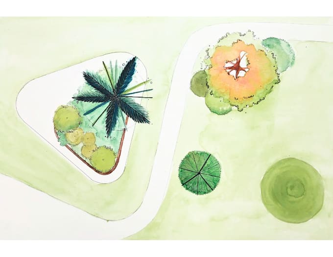 architectural vegetation painted watercolor
