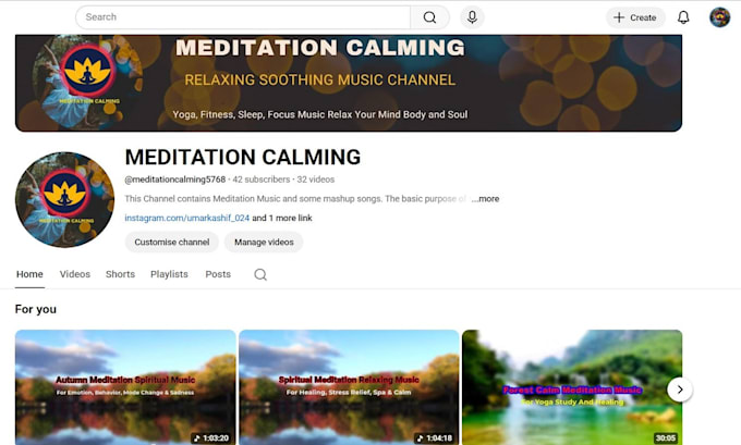 create, setup, manage and optimize a professional youtube channel