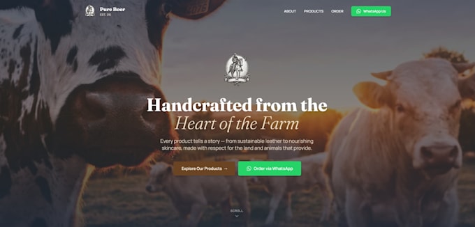 build a modern responsive website with interactive design