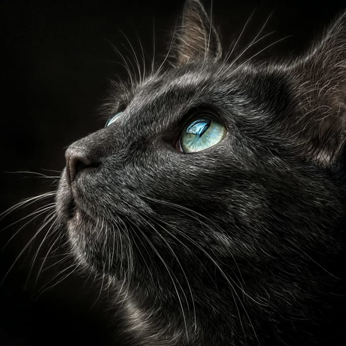 create an epic pet portrait dog portrait cat potrait