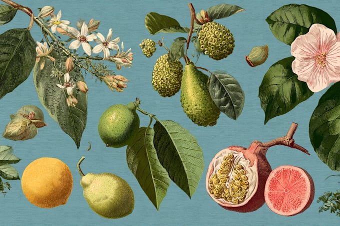 make a marvelous botanical flowers illustration