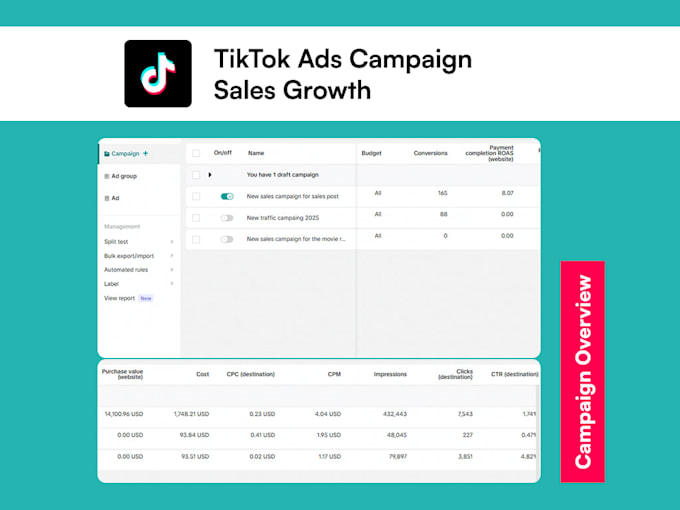 create tiktok ads campaign and manage tiktok marketing ads for ecommerce sales