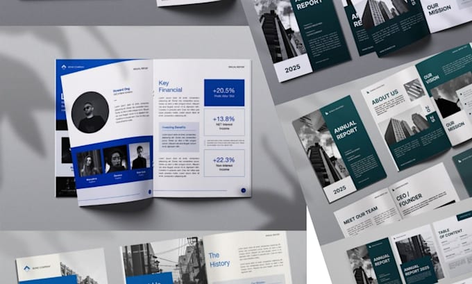 do professional annual report design, annual report layout