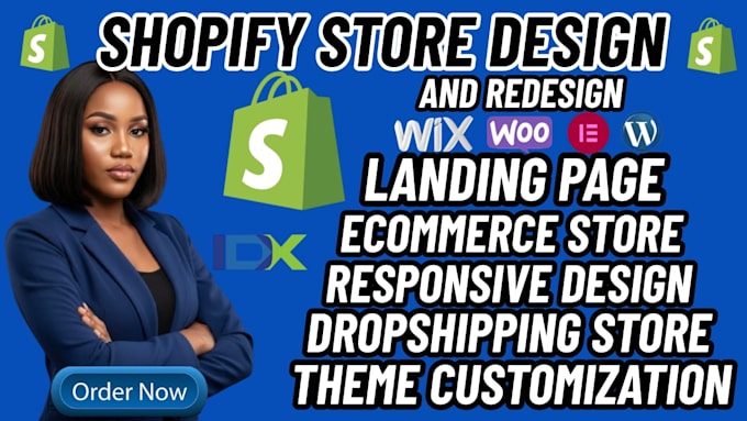 build a professional shopify dropshipping store, website