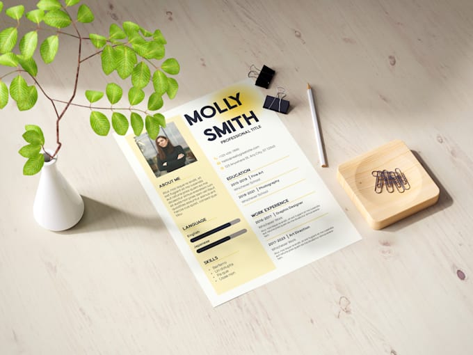 design a professional CV or resume