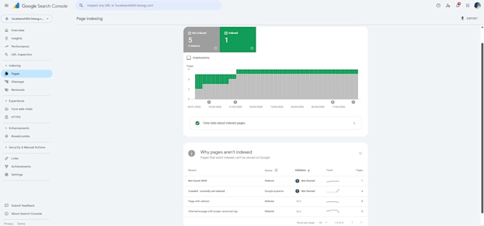 audit website index google search console technical SEO expert
